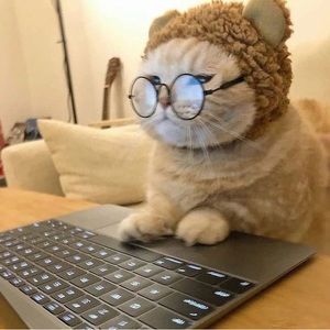 Meet your Posher, Han